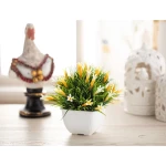 Madame Coco - Hedvige Pot With Plant, Yellow - مدام كوكو