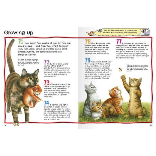 Miles Kelly - 100 Facts Cats & Kittens - مايلز كيلي - Image 3