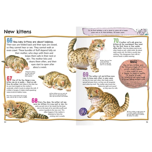 Miles Kelly - 100 Facts Cats & Kittens - مايلز كيلي - Image 2