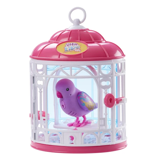 Small Live Pets Birds With Cage, Multicolored Small Live Pets Birds With Cage, Multicolored