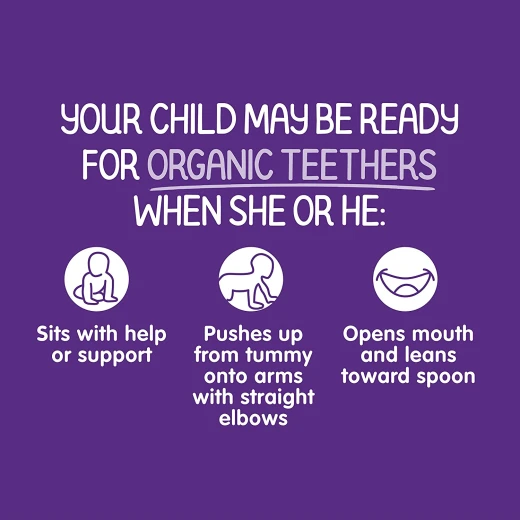 Happy Baby Organic Teethers Blueberry & Purple Carrot - هابي بيبي - Image 3