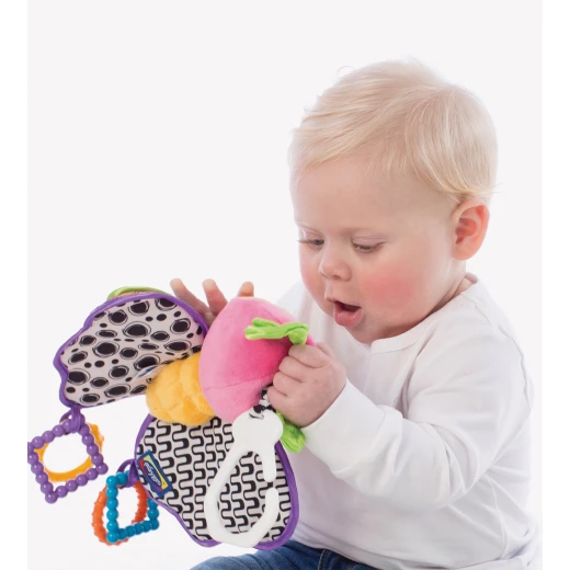 Playgro Activity Friend Blossom Butterfly - بلاي جرو - Image 4