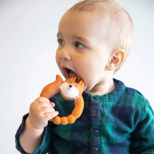 Skip Hop Teether Fox - سكيب هوب - Image 2