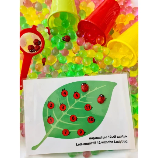 YIPPEE! Sensory Ladybug Orbeez Kit YIPPEE! Sensory Ladybug Orbeez Kit