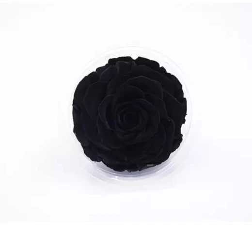 وردة روز طويلة الأمد باللون الأسود - Image 2