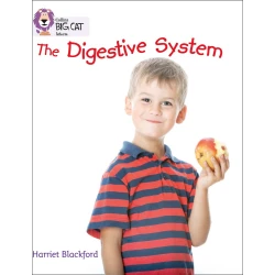 Collins The Digestive System : Band 08/purple Book