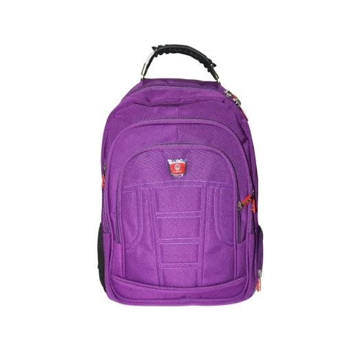 Amigo School Backpack, Purple Color, 45 cm