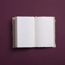 دفتر الفهد بغلاف مقوى (كن متوحش) مقاس A6 من مفكرة - مفكرة - Image 3