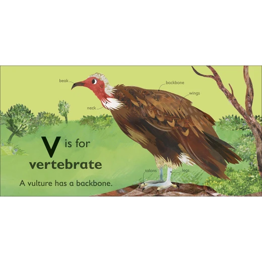 كتاب : في هو للنسر من دي كي - كتب دي كاي - Image 2