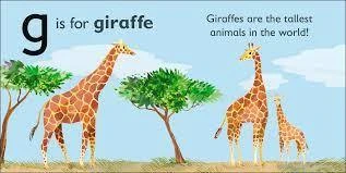 (G - للزرافة ) -كتاب من كتب دي كي للنشر - كتب دي كاي - Image 2