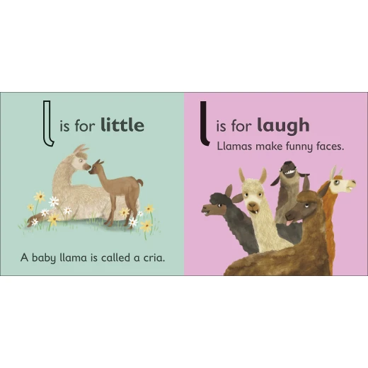 ( L - للاما ) -كتاب من كتب دي كي للنشر - كتب دي كاي - Image 2