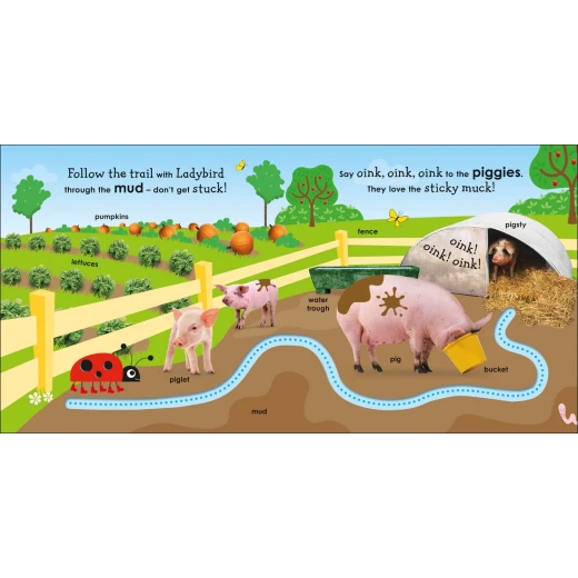 كتاب في المزرعة مع الدعسوقة من كتب دي كي للنشر - كتب دي كاي - Image 3