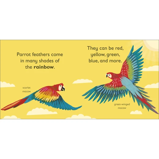 Dk Books Publisher Book: ( P ) Is For Parrot - DK Books - Image 2
