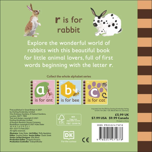 ( R - للارنب) - كتاب من كتب دي كي للنشر - كتب دي كاي - Image 2