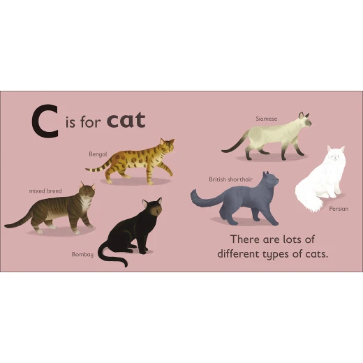 ( C - للقطة ) -كتاب من كتب دي كي للنشر - كتب دي كاي - Image 2