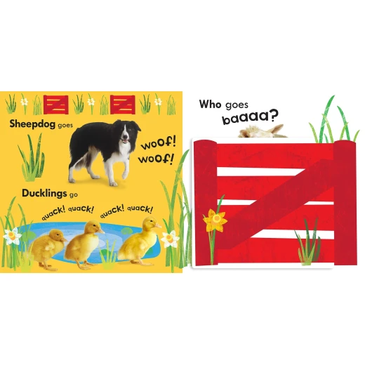 كتاب : المزرعة الصاخبة من دي كي - كتب دي كاي - Image 3