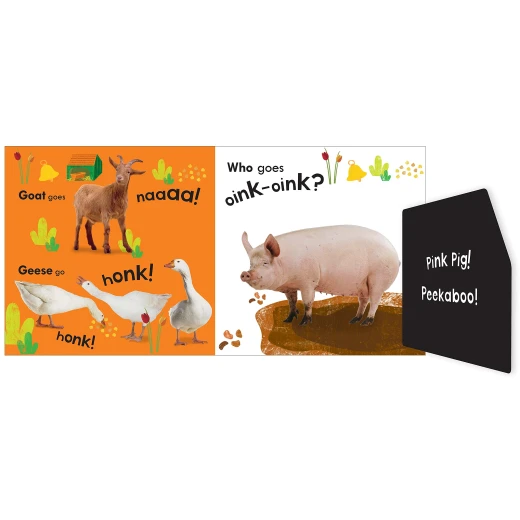 كتاب : المزرعة الصاخبة من دي كي - كتب دي كاي - Image 4