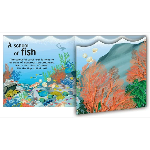 كتاب : نظرة خاطفة وابحث من دي كي - كتب دي كاي - Image 6