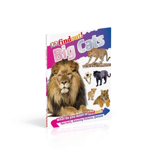 كتاب اكتشف! القطط الكبيرة من كتب دي كي للنشر - كتب دي كاي - Image 3