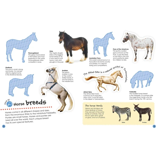 كتاب ملصقات DK Books Horses & Ponies للأطفال: متعة تعليمية وملصقات قابلة لإعادة الاستخدام - كتب دي كاي - Image 2