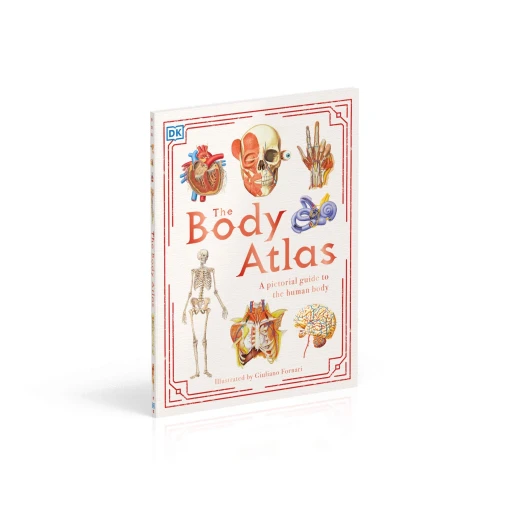 كتاب أطلس الجسم دليل مصور لجسم الإنسان من دي كاي - كتب دي كاي - Image 4
