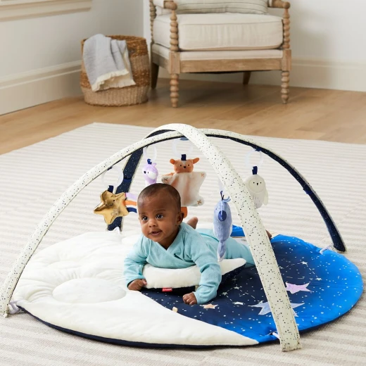 Skip Hop Celestial Dreams Activity Gym - Skip Hop - Image 13