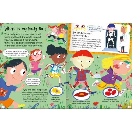 Miles Kelly - Curious Questions & Answers About My Body - مايلز كيلي - Image 5