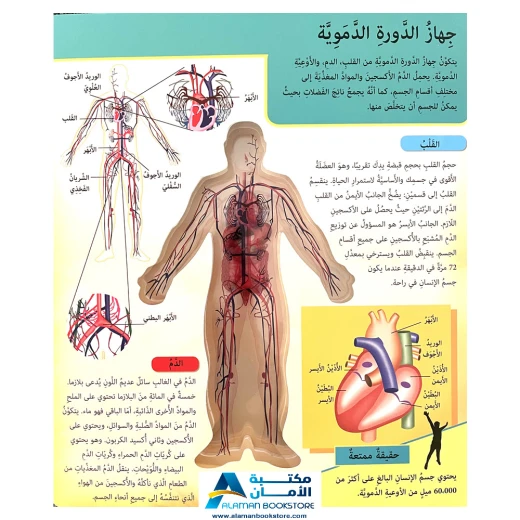 كتاب اكتشف جسم الانسان للاطفال - Image 2