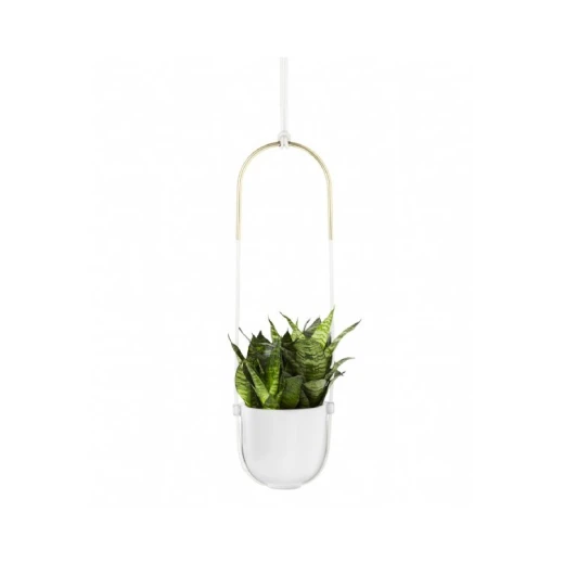 Umbra Flower Pot, White Color