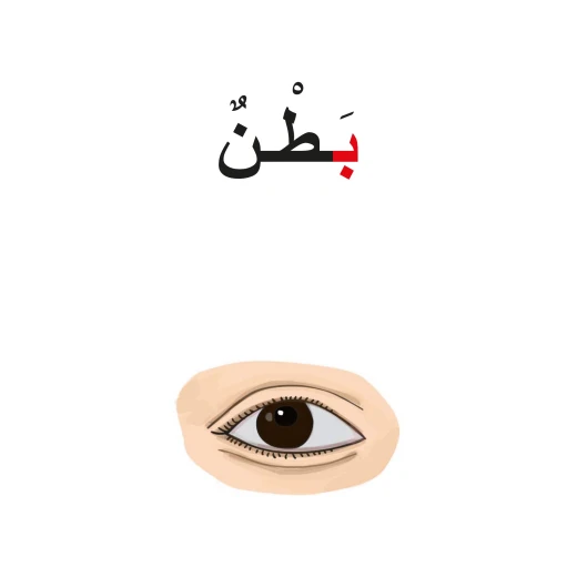 كتاب أ ب ت, جسم الإنسان من دار سما - دار سما - Image 2