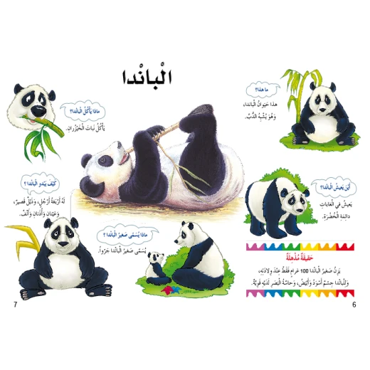 اسئلتي واجوبتي الاولى: الحيوانات البرية من دار المنهل - دار المنهل - Image 3