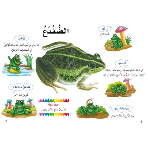 اسئلتي واجوبتي الاولى: الزواحف والبرمائيات من دار المنهل - دار المنهل - Image 3