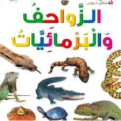 اسئلتي واجوبتي الاولى: الزواحف والبرمائيات من دار المنهل