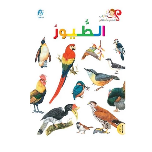 اسئلتي واجوبتي الاولى: الطيور من دار المنهل اسئلتي واجوبتي الاولى: الطيور من دار المنهل