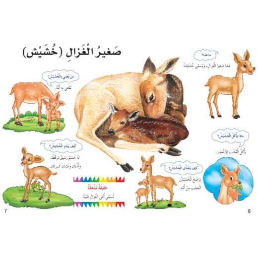 اسئلتي واجوبتي الاولى: صغار الحيوانات من دار المنهل - دار المنهل - Image 4