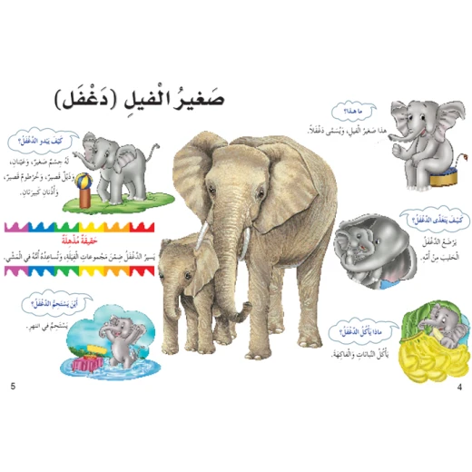 اسئلتي واجوبتي الاولى: صغار الحيوانات من دار المنهل - دار المنهل - Image 2
