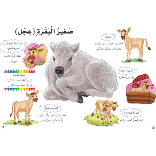اسئلتي واجوبتي الاولى: صغار الحيوانات من دار المنهل - دار المنهل - Image 6