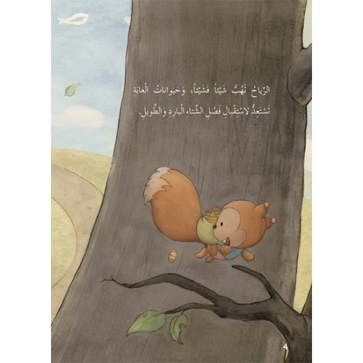 قصص: سلسلة الذكاء المتعدد: 02: منزل قوس قزح- الذكاء المكاني من دار المنهل - دار المنهل - Image 3
