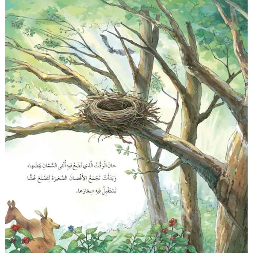 قصص: سلسلة من وحي الخيال:12 الطائر الغدار من دار المنهل - دار المنهل - Image 4