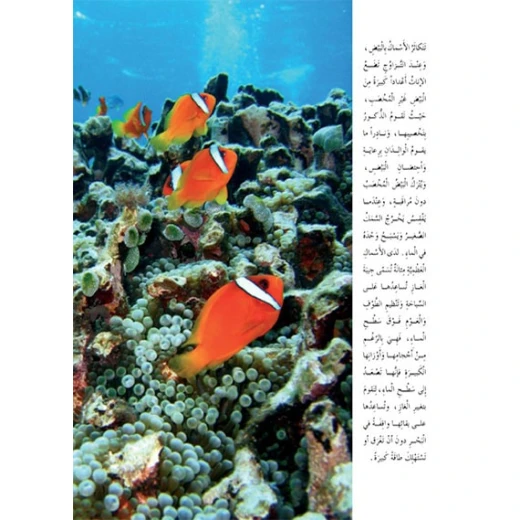 قصص:سلسلة حيوانات مدهشة في العالم:الاسماك من دار المنهل - دار المنهل - Image 2