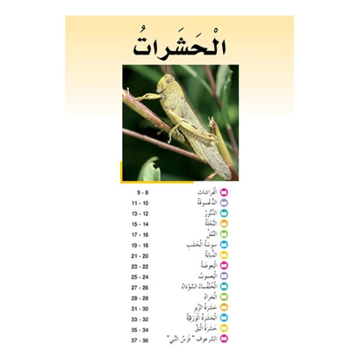 قصص:سلسلة حيوانات مدهشة في العالم:الحشرات من دار المنهل - دار المنهل - Image 3