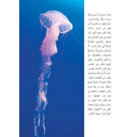 قصص:سلسلة حيوانات مدهشة في العالم:الحيوانات البحرية من دار المنهل - دار المنهل - Image 2