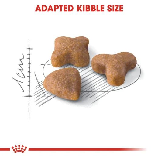 Royal Canin Sensible 33 Cats Food, 400 Gram - Royal Canin - Image 4