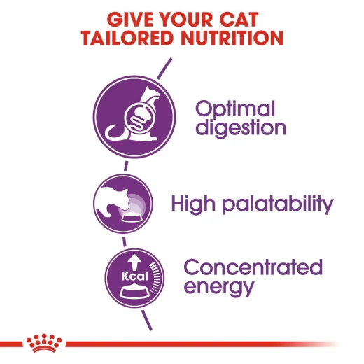 Royal Canin Sensible 33 Cats Food, 400 Gram - Royal Canin - Image 3