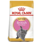 Royal Canin Kitten British Shorthair, 2 Kilo - Royal Canin