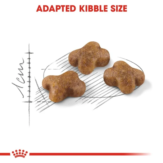 Royal Canin Kitten Food, 400 Gram - Royal Canin - Image 2