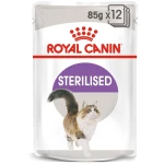 طعام القطط مع جيلي, 85 جرام من رويال كانين - رويال كانين