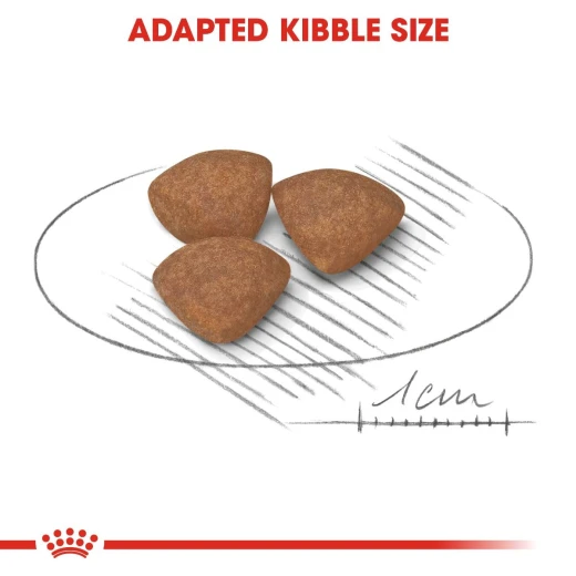 Royal Canin Mini Puppy Food, 800 Gram - Royal Canin - Image 4