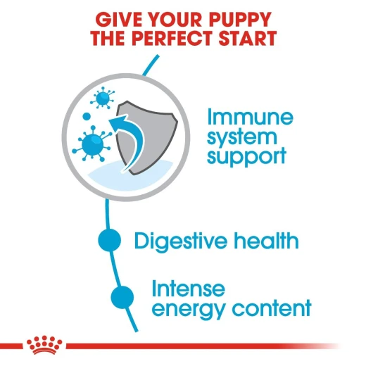 Royal Canin Mini Puppy Food, 800 Gram - Royal Canin - Image 6