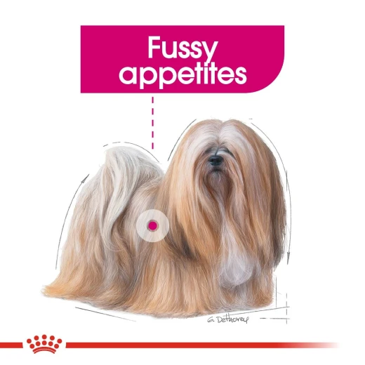 Royal Canin Mini Exigent Dog Food, 3 Kg - Royal Canin - Image 6